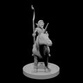 Gnome Male Druid on Pocket Unicorn