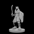 Guerrier du désert draconien