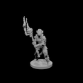 Paladin déchu Draconide