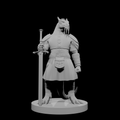 Guerrier draconien avec espadon et kilt