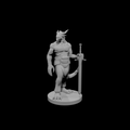 Guerrier draconien à arme lourde 3