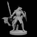 Paladin Dragonborn occulteur de la Lame sanglante