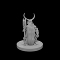 Dwarf Barbarian with a big Beard