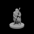 Druide mâle nain 3