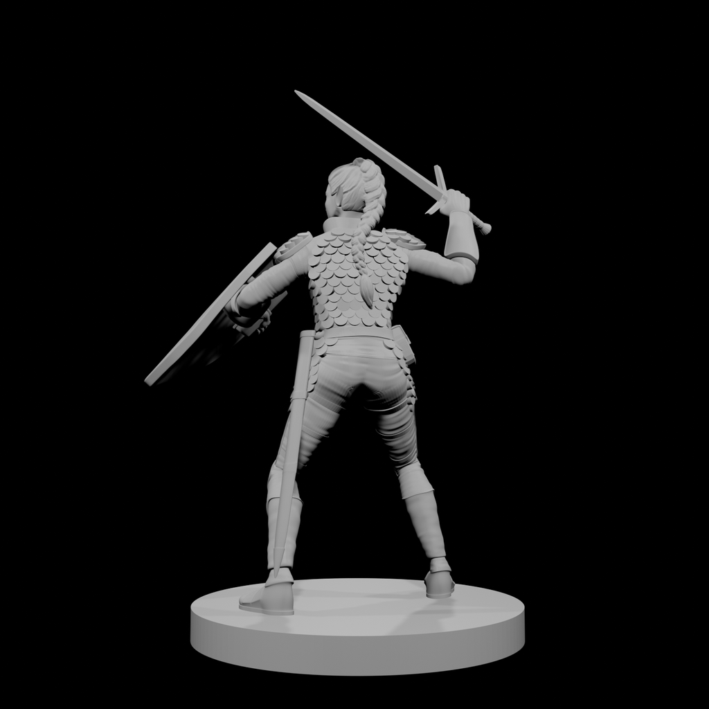 Paladine elfe (femme) 1