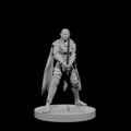 Paladin elfe (femme) 2