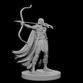 Elfe féminine Rôdeuse