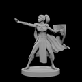 Magicienne Elfe avec Bouclier