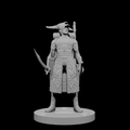 Druide elfe mâle avec casque à tête de mort