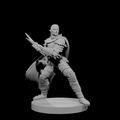 Paladin Déchu Elfe Mâle