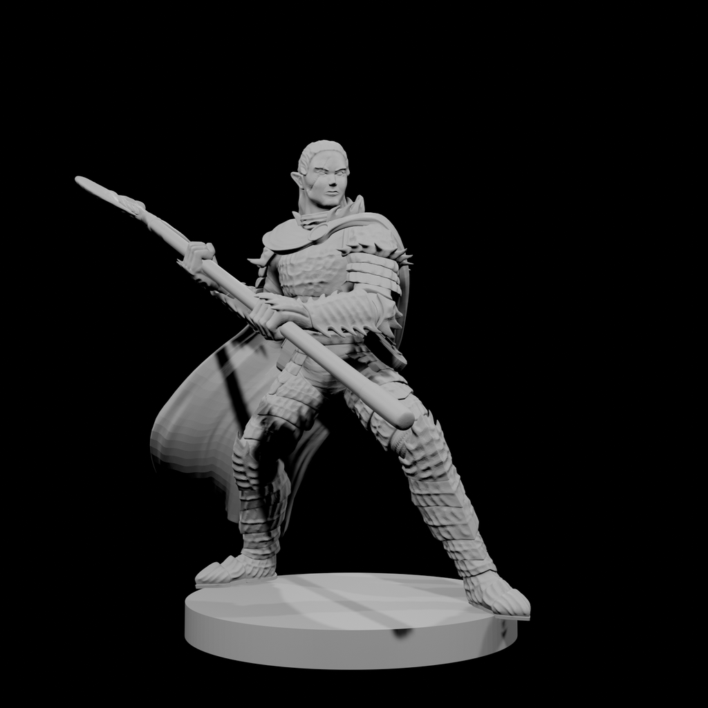 Paladin Déchu Elfe Mâle avec Hallebarde
