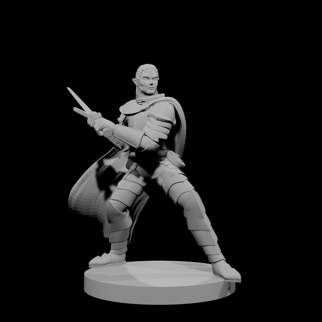 Elf Male Paladin 2