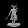 Elf Male Pirate Captain
