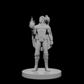 Elf Male Sorcerer with Hawk