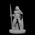 Elf Male Sorcerer with Unicorn Staff