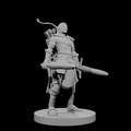 Elf Male Two Sword Ranger