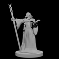 Elf Wizard 3