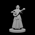 Female Elf Bard