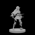 Female Elven Bladesinger