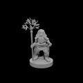 Gnome  Druid