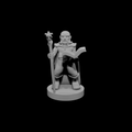 Gnome Wizard 2