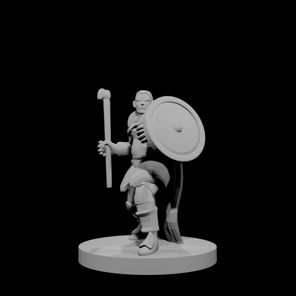 Half Elf Male Druid Club and Shield