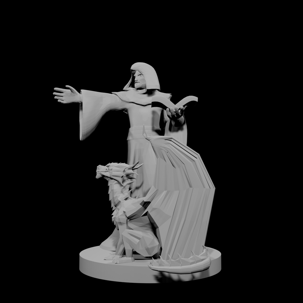 Half Elf Warlock and Dragon