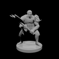 Half Orc Male Barbarian 2