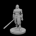 Half Orc Male Monk 2