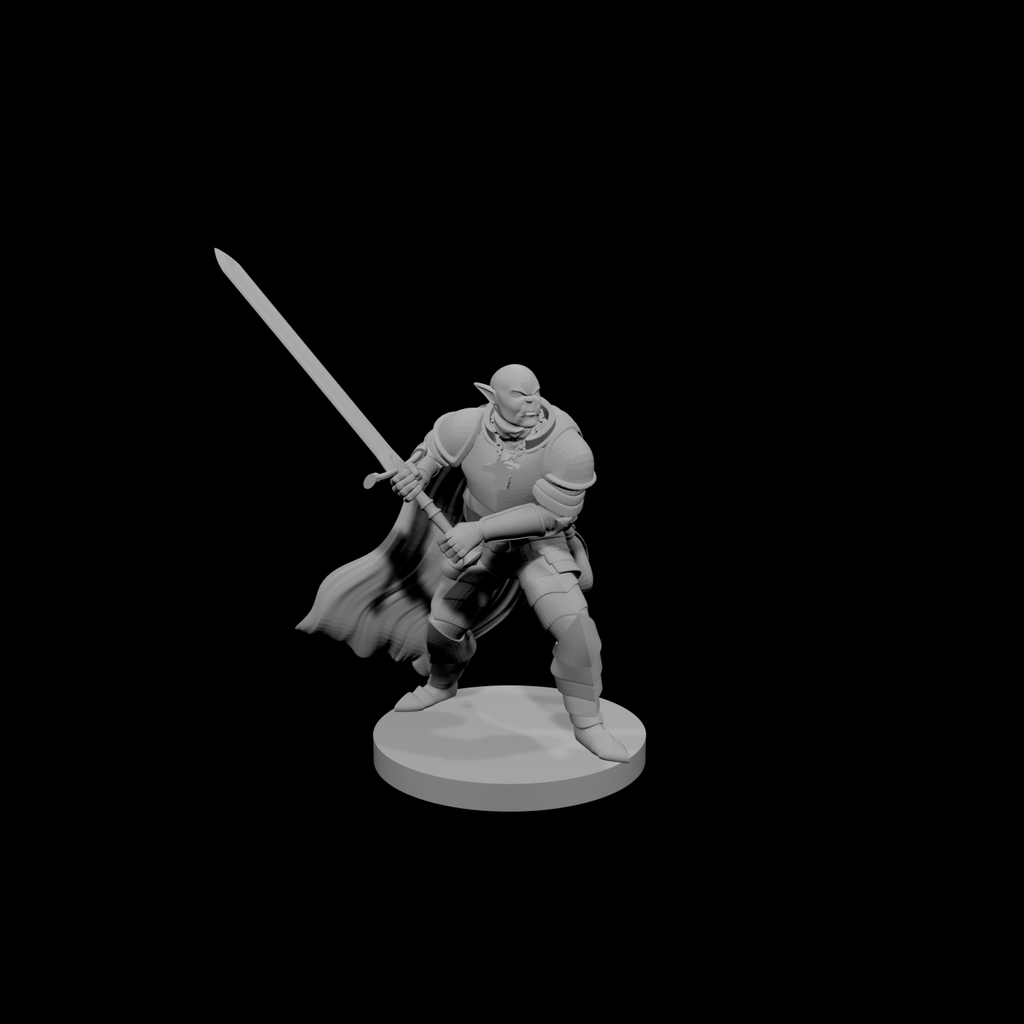 Half Orc Paladin