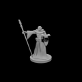 Half Orc Wizard