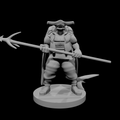 Hammerhead Pirate