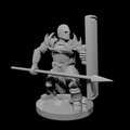 Helm Tower Shield and Spear Paladin