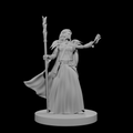 Human Female Abjurer Wizard