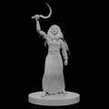 Human Female Druid 5