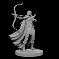Human Female Ranger with Raven