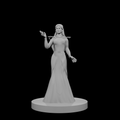 Human Female Wizard with Raven Dress