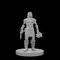 Human Male Barbarian 17