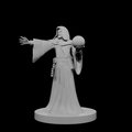 Human Male Diviner Wizard