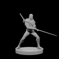 Human Male Fighter