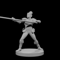 Human Male Fighter with Spear