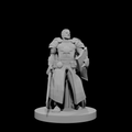 Human Male Light Cleric with Sword and Shield