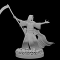 Human Male Necromancer Wizard