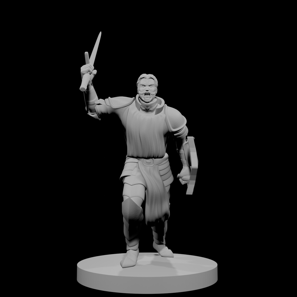 Human Male Paladin Charging