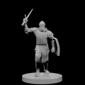 Human Male Paladin with Tower Shield Charging