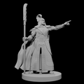 Human Male Warlord
