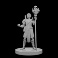 Human Warlock with Skull Staff