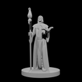 Human Wizard with Bat Familiar