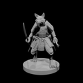 Kitsune Samurai