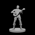 Male Human Bard 2